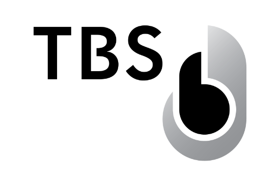 TBS Touchless Biometric Systems AG